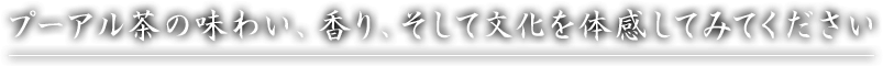 プーアル茶の味わい、香り、そして文化を体感してみてください