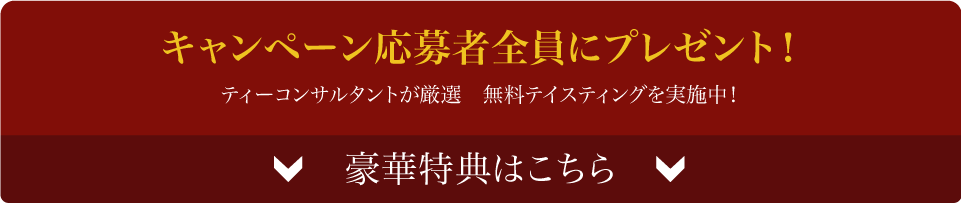 キャンペーン応募者全員にプレゼント!豪華特典はこちら